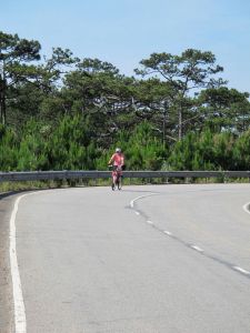 Diana cycling through the pine forests.
